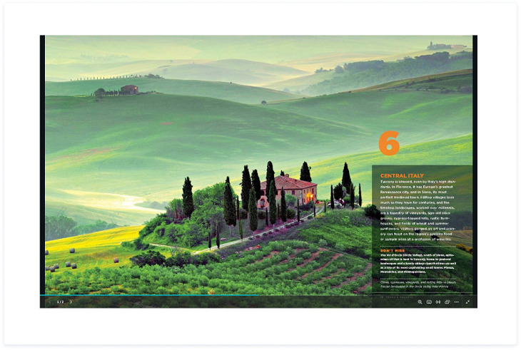Canva software example