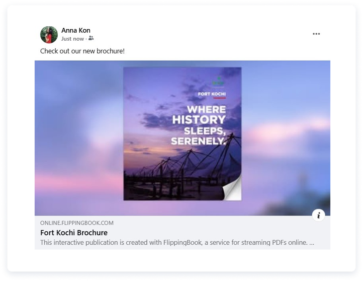 Preview of a flipbook made from a PDF shared on Facebook