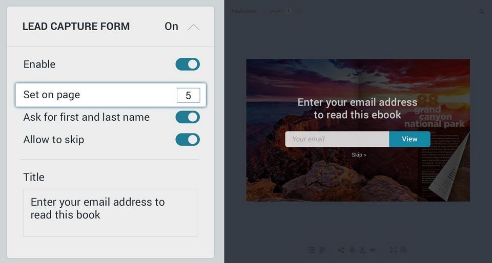 Lead capture form