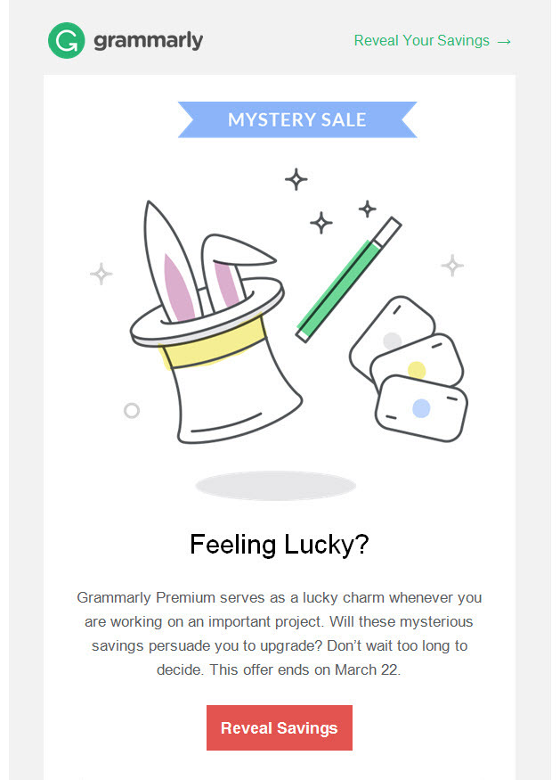 social newsletter