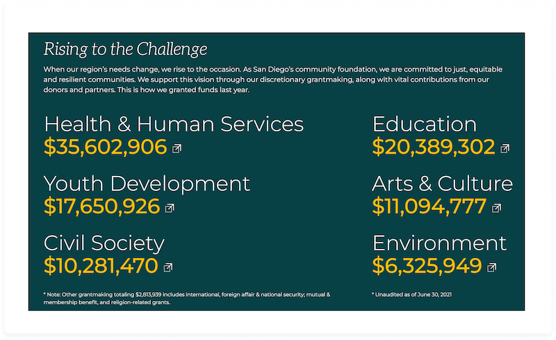 The San Diego Foundation Annual Report Example