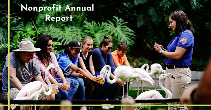 Annual Report as a Great Tool for a Nonprofit Organization