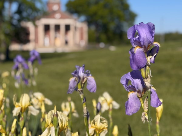 How the Indiana Department of Correction Uses FlippingBook to Share Data, Stories, and Impact